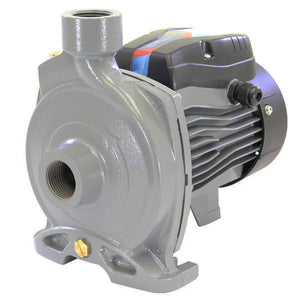 PEARL CENTRIFUGAL ELECTRIC WATER PUMP CEP - 1HP, 110/220V