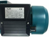 G&W 1 HP 110 V Tankless Shallow Well JET and Booster Pump With Smart Controller